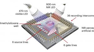 Искусственная сетчатка: шаг к инфракрасному зрению и лечению слепоты