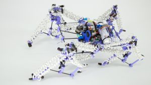 z1 583199