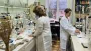 Негорючие нетканые материалы: российская разработка для безопасности