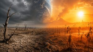 Учёные выяснили, когда на Земле исчезнут растения: причиной станет не только жара