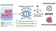 MetalCytoToxDB: новый ИИ-инструмент ускоряет поиск новых лекарств от рака
