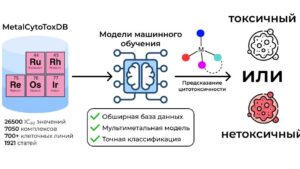 MetalCytoToxDB: новый ИИ-инструмент ускоряет поиск новых лекарств от рака