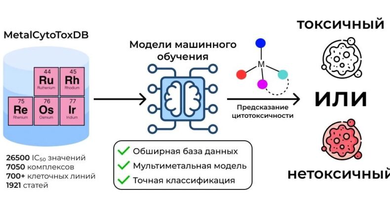MetalCytoToxDB: новый ИИ-инструмент ускоряет поиск новых лекарств от рака