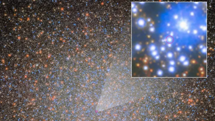 Hubble и JWST впервые обнаружили одну из тысяч скрытых черных дыр в Омеге Центавра 1 Hubble и JWST впервые обнаружили одну из тысяч скрытых черных дыр в Омеге Центавра