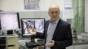 Растворяющиеся имплантаты получили систему звуковой проверки структуры