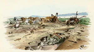 Помогли ли квантовые датчики найти сбитого в Иране пилота ВВС США? Физики сомневаются