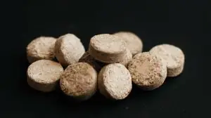 Ученые нашли способ топить дом… мусором и маслом! В России разработали пеллеты будущего