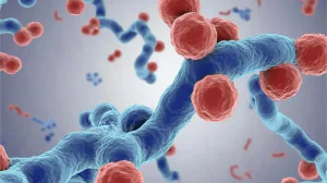 Белковые фабрики клеток: новое объяснение человеческого многообразия