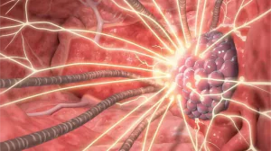 Тяжелые ионы против рака: агрессивные опухоли уничтожат без повреждения здоровых тканей