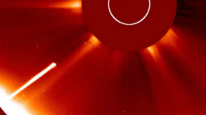 Самая яркая комета года C/2026 A1 погибла на Солнце