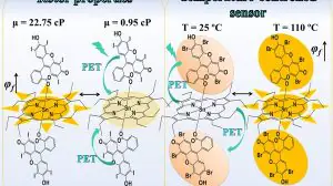 Фотодинамическая терапия: уничтожение раковых клеток теперь будет видно в реальном времени
